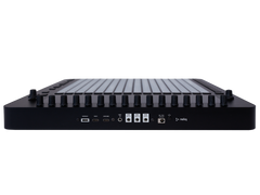 Reliq Black from the back
