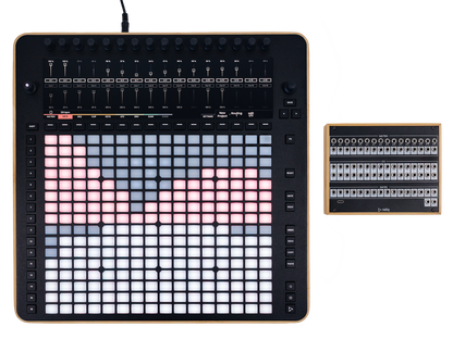 Reliq Wood hybrid instrument from above, with the Breakout Module